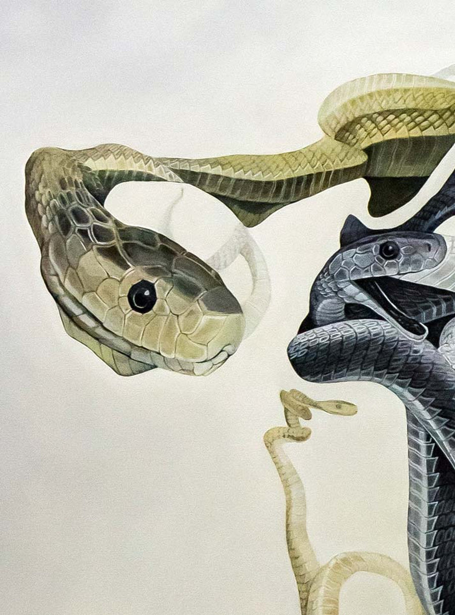 MAMBA (#8) â BK THE ARTIST | OFFICIAL STORE